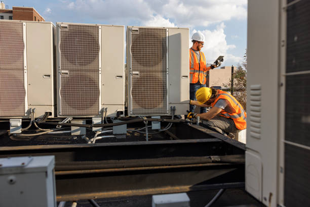 Best Air Filters and Purifiers in Duluth, WA